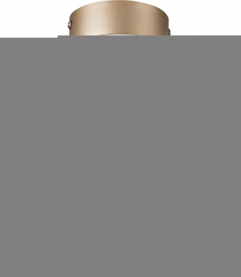 Потолочный светильник Globo 812023