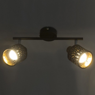 Спот Troy 54121-2