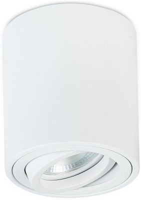 Точечный светильник Basis DL18613R1W