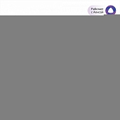 Потолочная люстра Паркер Смарт CL225A240E 