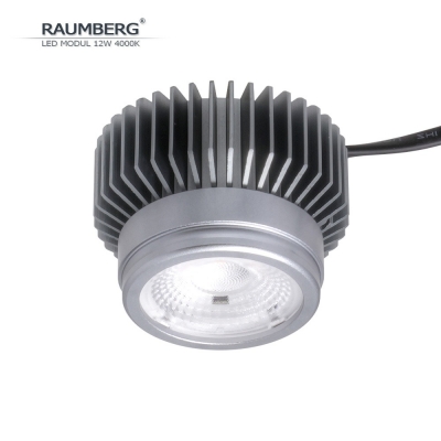 Светодиодный модуль  Raumberg12W4000K