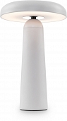 Интерьерная настольная лампа Mushroom FR6109TL-L4W 