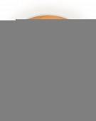 Точечный светильник Techno Spot XS8121010 