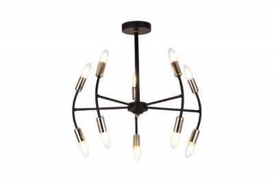 Потолочная люстра Ingrid FR5087PL-10B