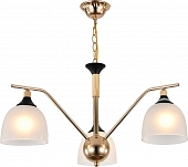 Подвесная люстра Actinidia 2123/3P 