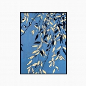 Постер  17565E 