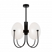 Потолочная люстра Ellipse FR5320PL-04B 