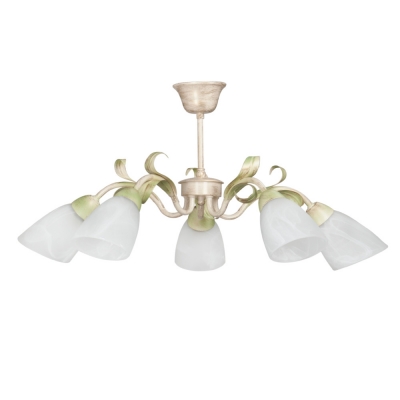 Потолочная люстра  V1535/5PL