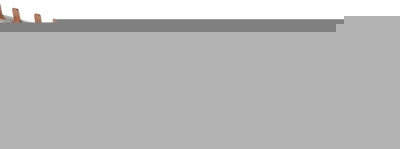 Шина  NO-224-613