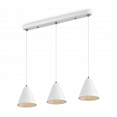 Подвесной светильник Falke Market FR8004PL-03WG 