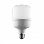 Лампочка светодиодная  LED-M80-40W/6500K/E27/FR/NR 
