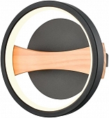 Настенный светильник 450 450-021-01 