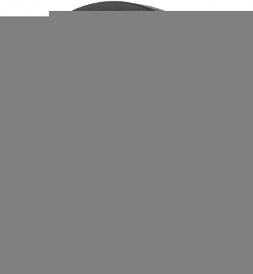 Настенный светильник 450 450-021-01