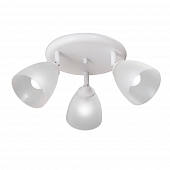 Спот  V4355-0/3PL 