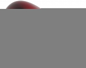 Лампочка инфракрасная  ИКЗК 230-150 R127 