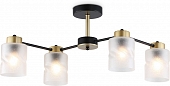 Потолочная люстра TRADITIONAL TR303324 