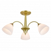 Потолочная люстра Ilex ES0000032 