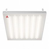 Светодиодная панель STD ДВО12-54-042-4К 