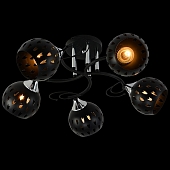 Потолочная люстра  01314-0.3-05 BK+CR 