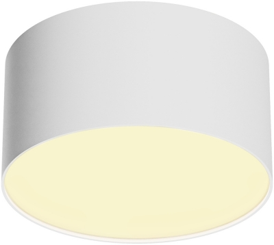 Потолочный светильник Zon C032CL-12W2.7K-RD-W