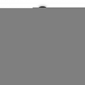 Подвесной светильник Alzare FR5595PL-01B3 