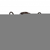 Потолочная люстра Fortuna A5495PL-5BR 