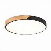 Потолочный светильник Festa SLE200942-01 