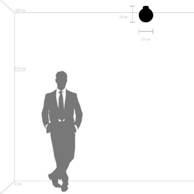 Потолочный светильник Globo 812027