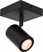 Спот Amigo 53910/01/30 