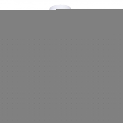 Подвесной светильник Chick 1931-2P