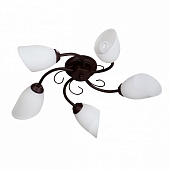 Потолочная люстра  V3715/5PL 