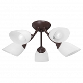 Потолочная люстра  V3404/5PL 