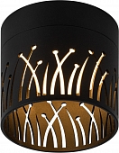 Точечный светильник  OL54 BK 