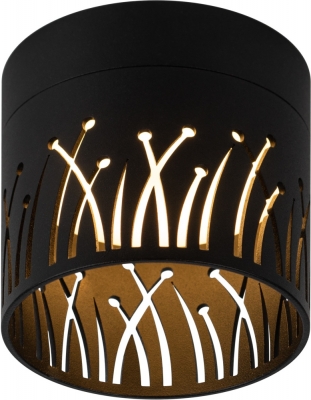 Точечный светильник  OL54 BK