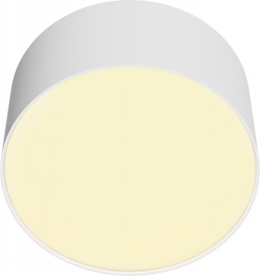 Потолочный светильник Zon C032CL-12W2.7K-RD-W