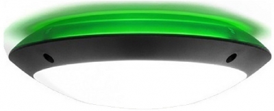 Потолочный светильник уличный Lucia 1R3.000.000.AYE27GN1