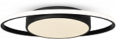 Потолочная люстра Cosmic FR10015CL-L62B 