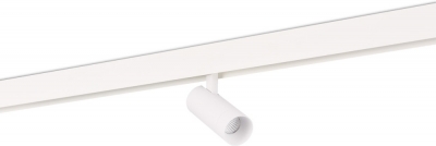 Трековый светильник Alpha DL20295WW10W