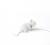 Интерьерная настольная лампа Mouse Lamp 15222