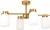 Потолочная люстра Kamelia FR5446PL-04BS1
