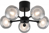 Потолочная люстра Shimmer FR5435PL-05B 