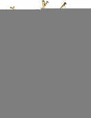 Бра Лайма 467022202 