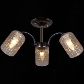 Потолочная люстра  31020-0.3-03 