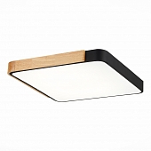 Потолочный светильник Festa SLE201242-01 