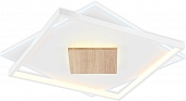 Потолочный светильник COMFORT FL4790 