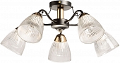 Потолочная люстра Альфа 324019505 