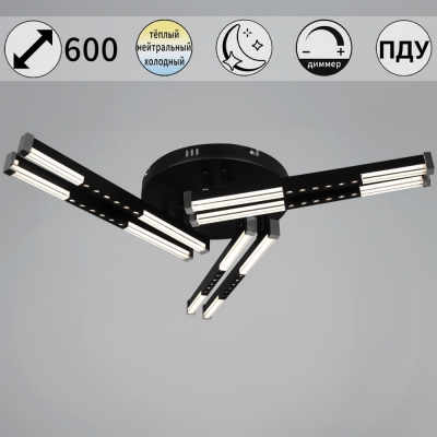 Потолочная люстра  24090-0.3-06 BK