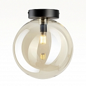 Настенно-потолочный светильник Orton CL202512 