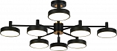 Потолочная люстра Siri 10211/8LED 
