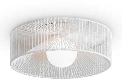 Потолочный светильник Cottage FR5405CL-01W